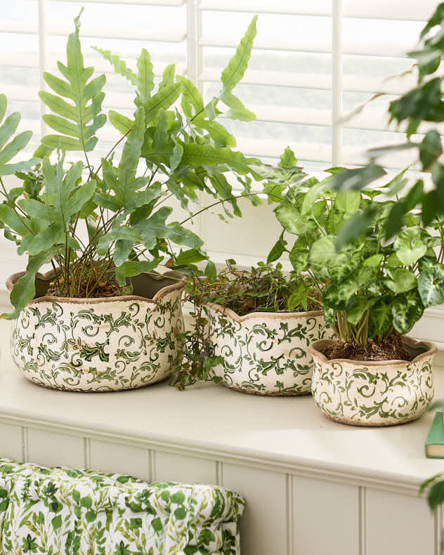 Set of 3 Florence Ceramic Planters