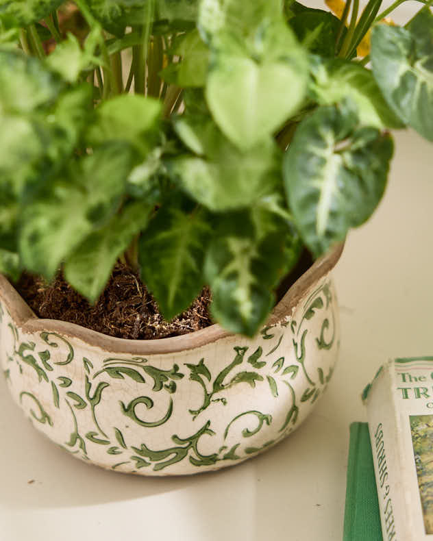 Set of 3 Florence Ceramic Planters