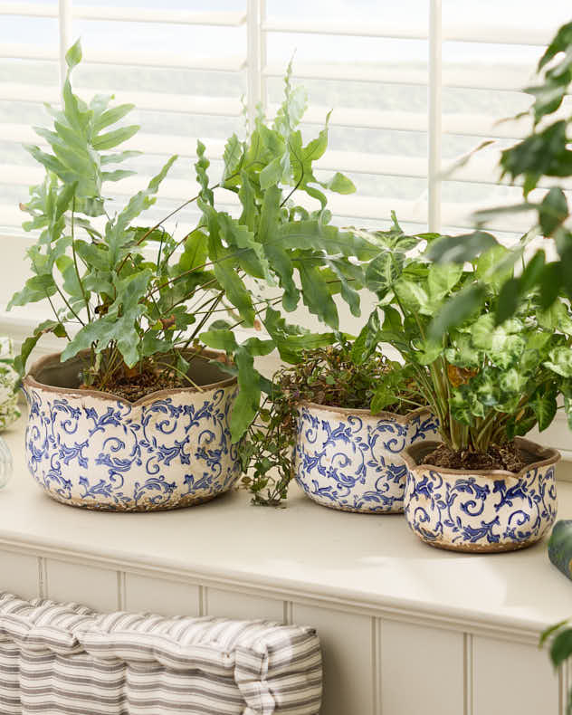 Set Of 3 Florence Indoor Planters Blue