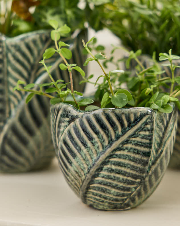 Set of 3 Botanic Indoor Planters