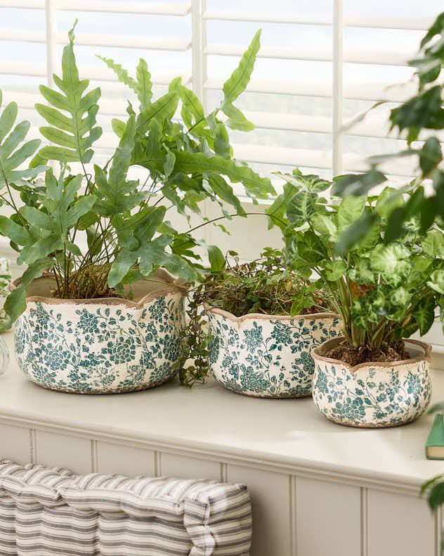 Set 3 Floral Field Ceramic Planters