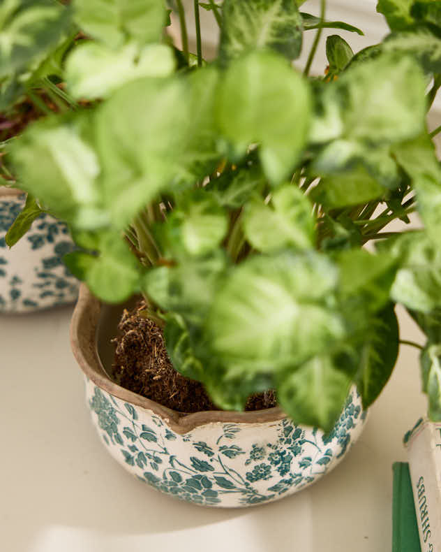 Set of 3 Floral Field Ceramic Planters