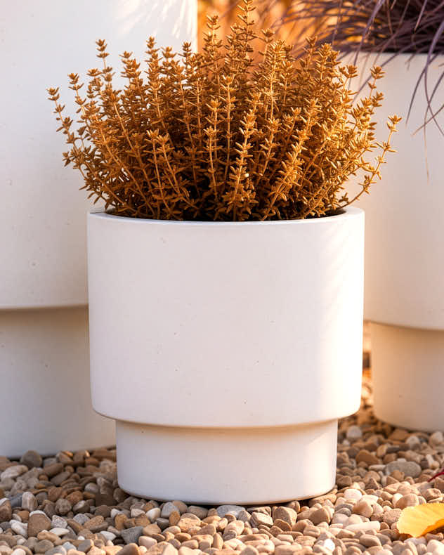 Noma Beige Planter Collection