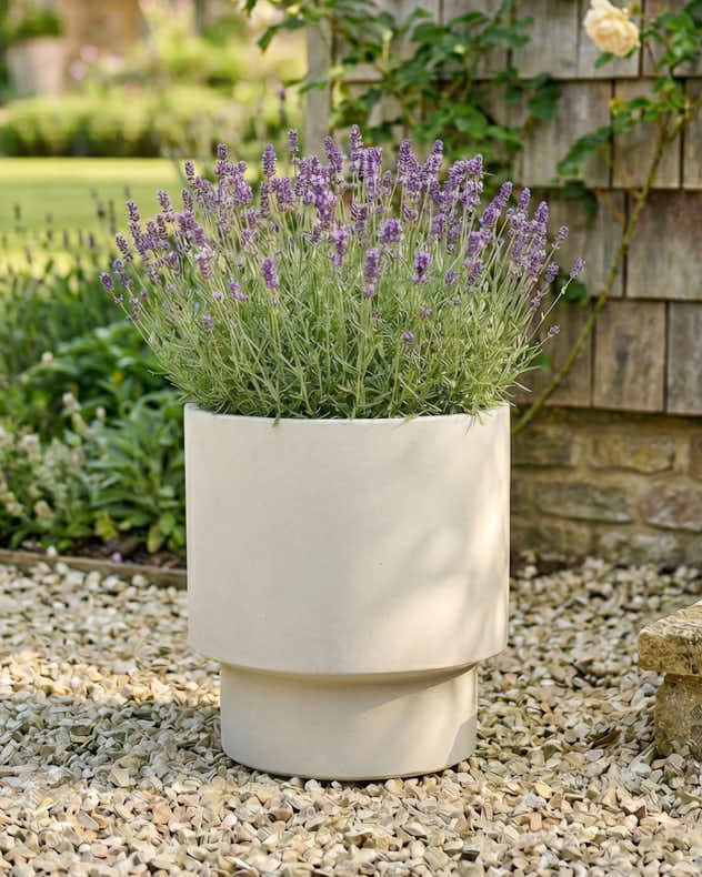 Pots &amp; Planters Set of 3 - Noma Beige Planter Collection