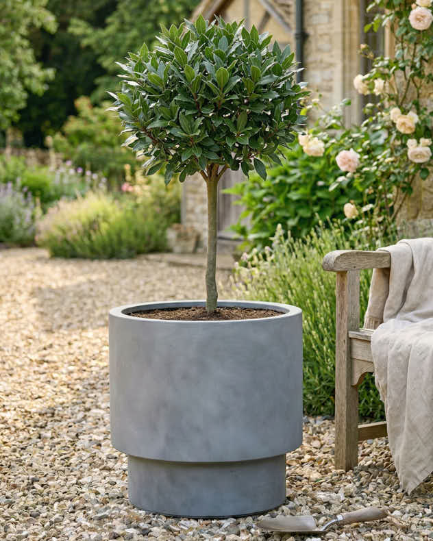 Pots &amp; Planters Medium - Noma Grey Planter Collection