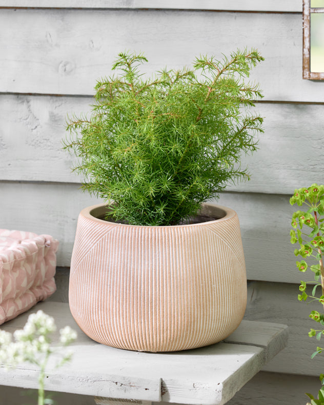 Small Cream Pre-loved Etched Planter
