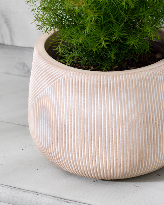 Small Cream Pre-loved Etched Planter