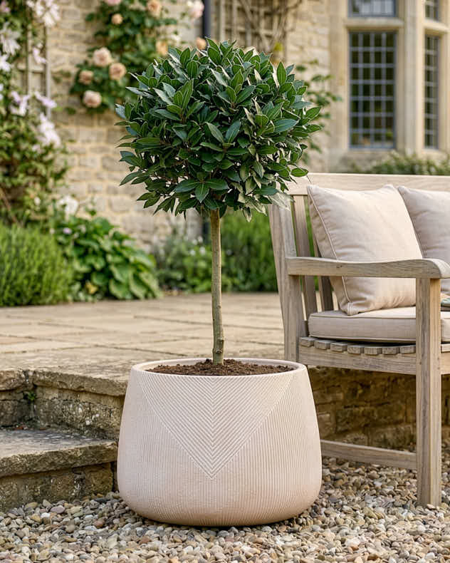 Kalo Striped Planter Collection