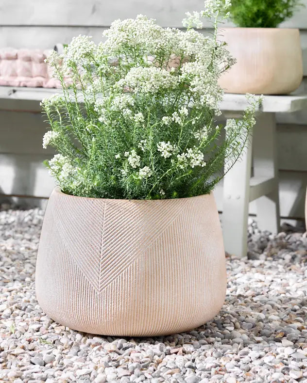 cream Striped Planter