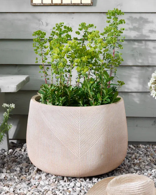 cream Striped Planter Collection