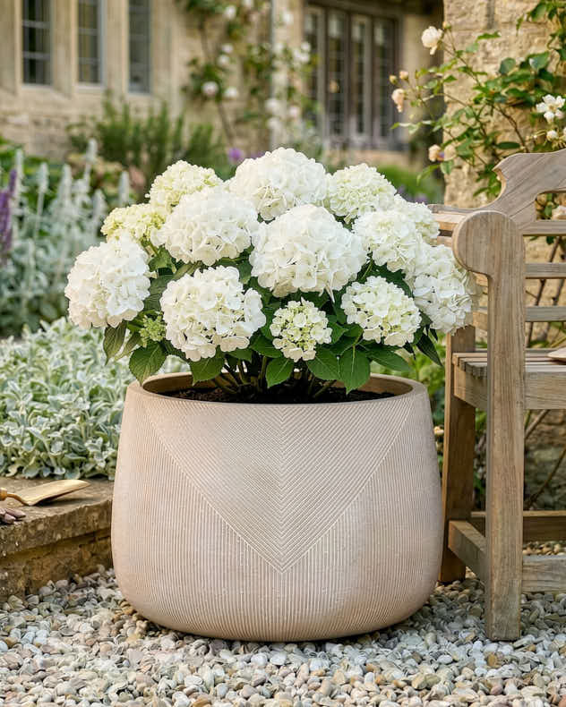 Kalo Striped Planter Collection