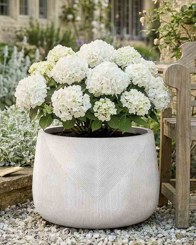Pots & Planters Large - Kalo Striped Planter Collection