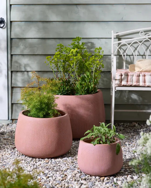 Kalo Terracotta Planter Collection