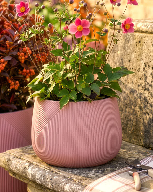 Kalo Terracotta Planter Collection