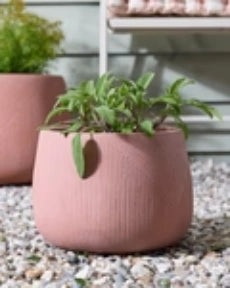 Kalo Terracotta Planter pot