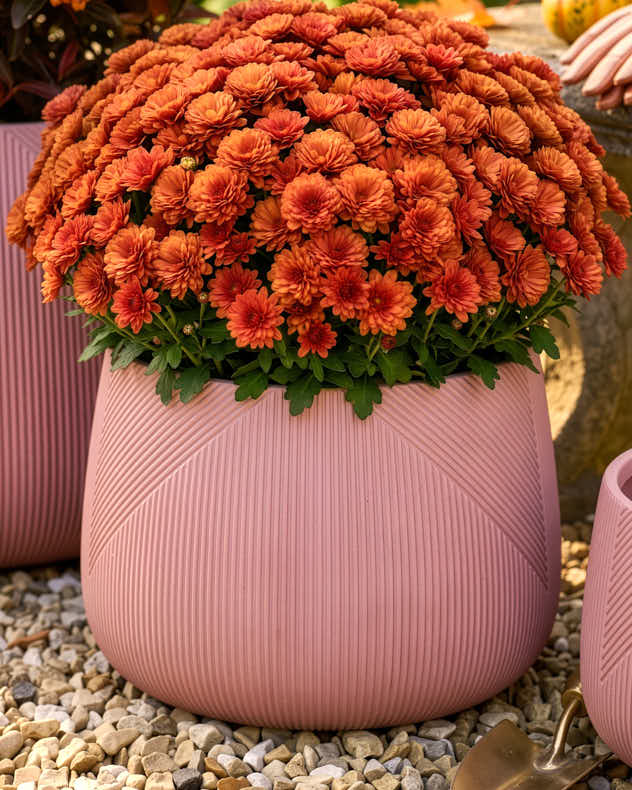 Kalo Terracotta Planter Collection