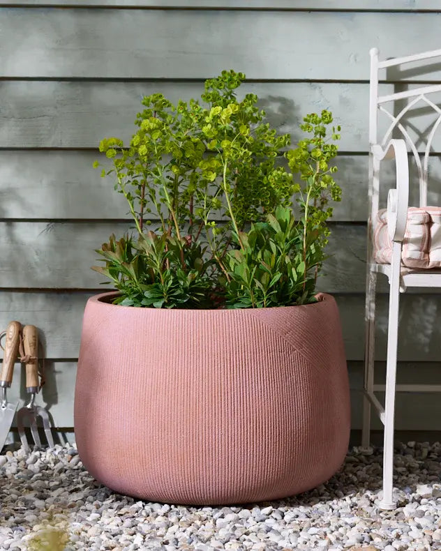 Terracotta Planter Collection