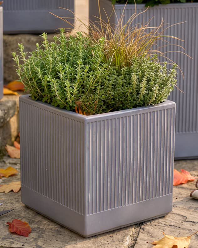Agri Grey Ribbed Square Planter Collection