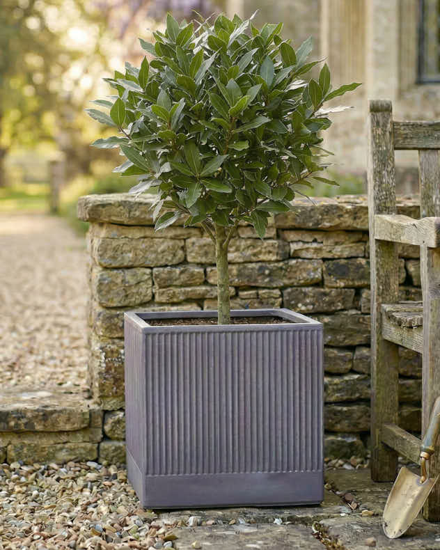 Agri Grey Ribbed Planter Collection