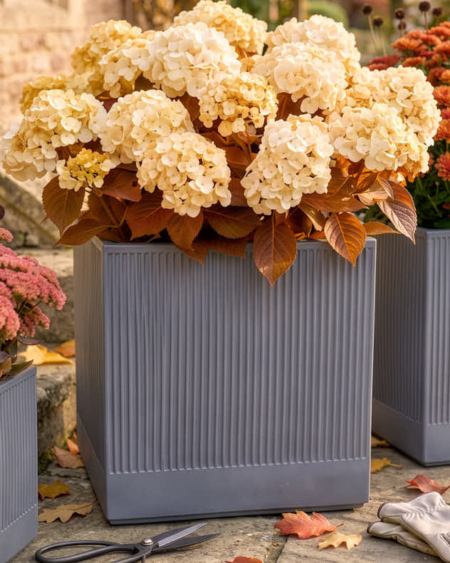 Agri Grey Ribbed Square Planter Collection