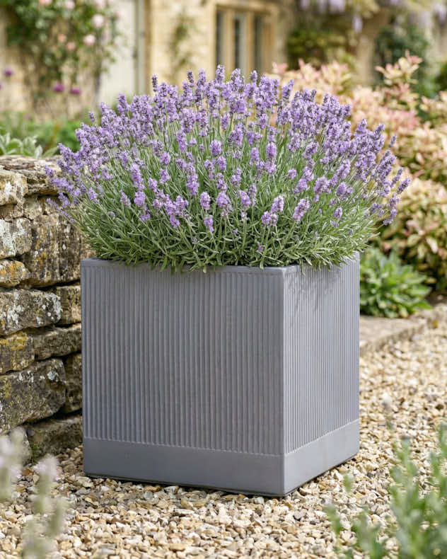 Pots &amp; Planters XL - Agri Grey Ribbed Planter Collection