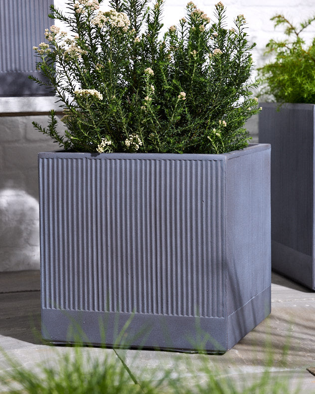 Agri Grey Ribbed Planter Collection