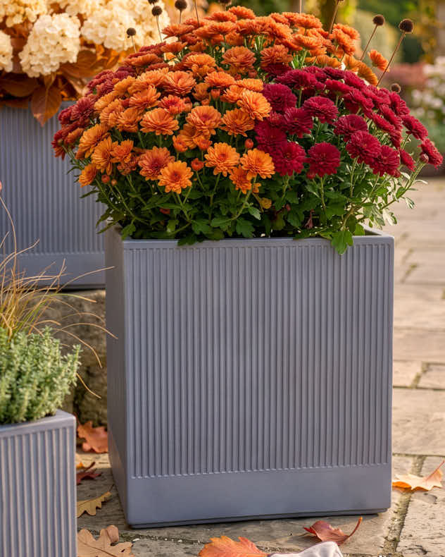 Agri Grey Ribbed Square Planter Collection