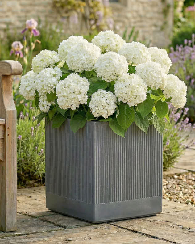 Pots &amp; Planters Set of 4 - Agri Grey Ribbed Planter Collection