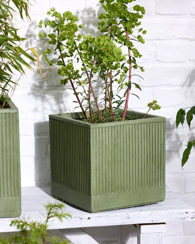 Green Ribbed Planter Collection