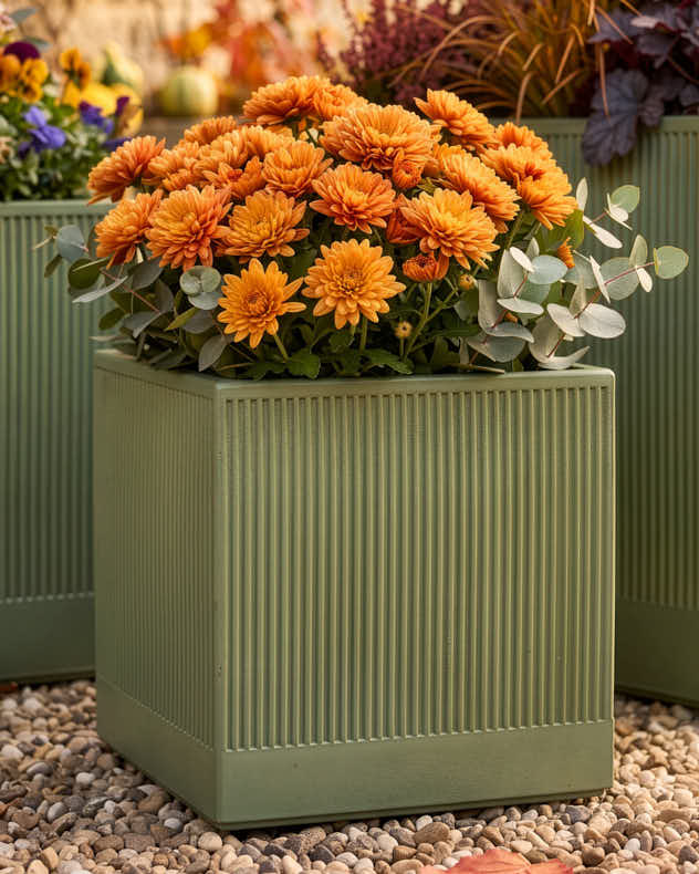 Agri Green Ribbed Planter Collection