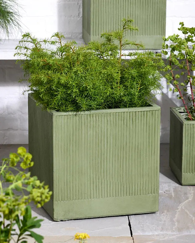 Green Ribbed Planter