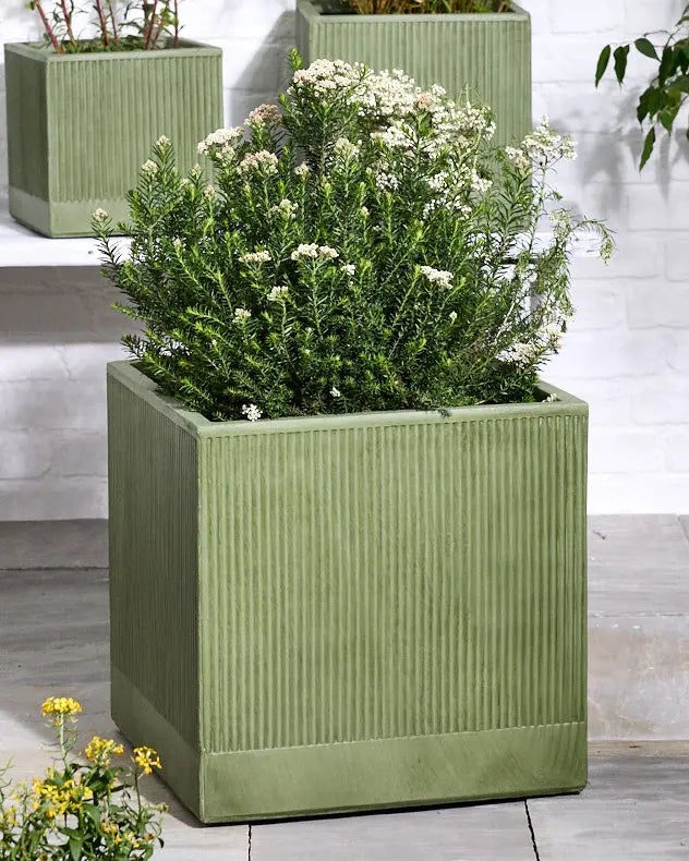 Green strips Planter