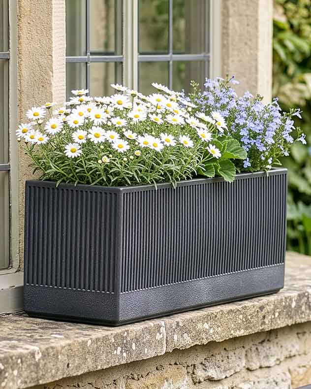 Mela Wide Black Planter Collection