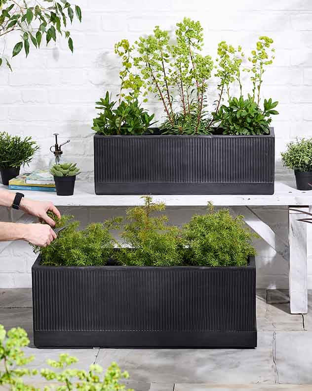 Mela Wide Black Planter Kollektion