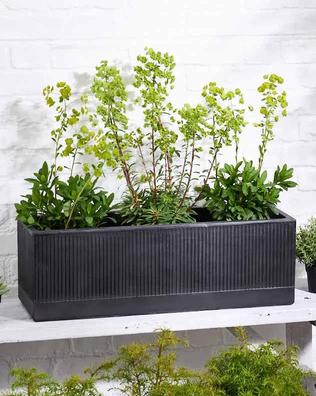 Mela Wide Black Planter Collection