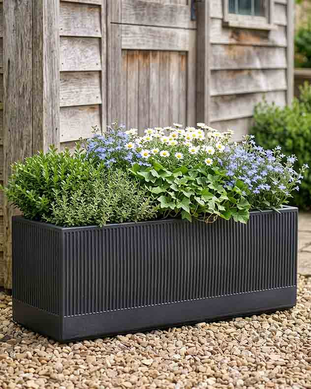 Mela Wide Black Planter Collection