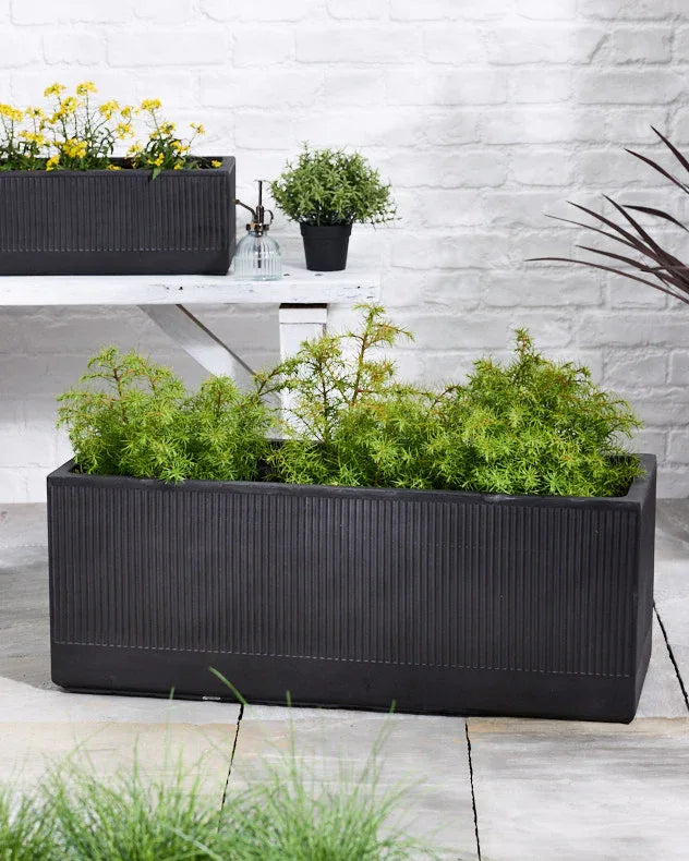 Wide Black Planter Collection