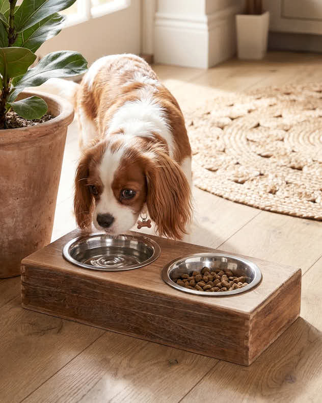 Bergen Wooden Pet Feeding Station