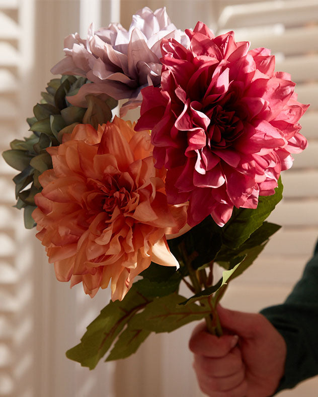 Sunset Dahlia Bunch