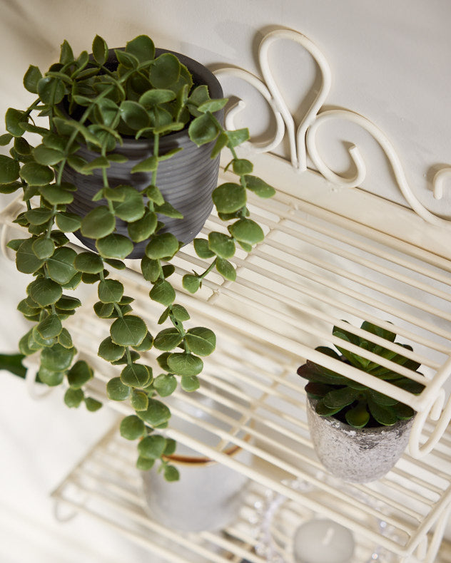Ivory Wall Shelf Rack with Hooks