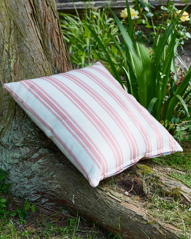 Rose Blush Stripe Cotton Cushion 50cm