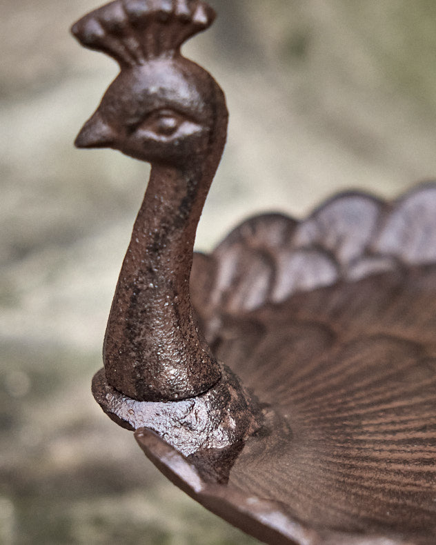 Peacock Cast Iron Bird Dish