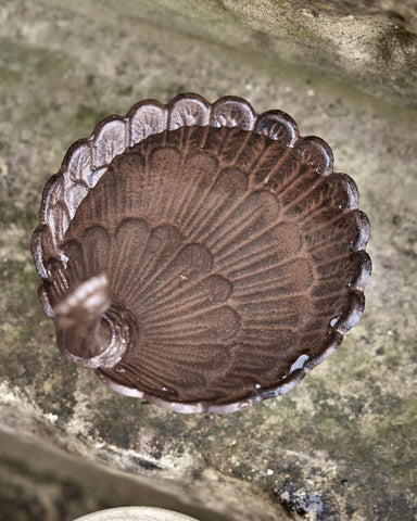 Third Image