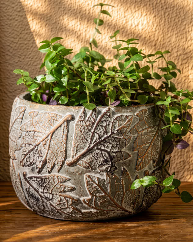 Daintree Small Plant Pot