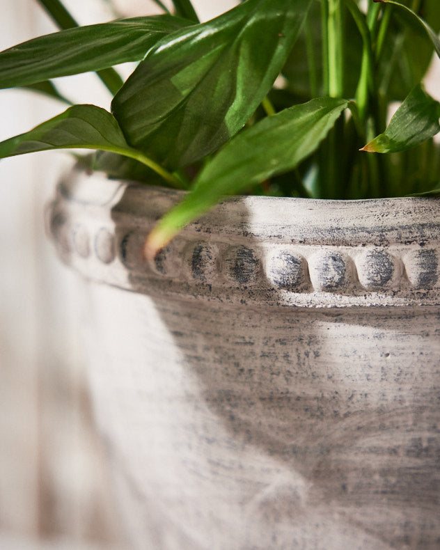 Pots & Planters - Olympia Plant Pot