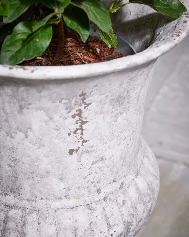 Urn Plant Pots