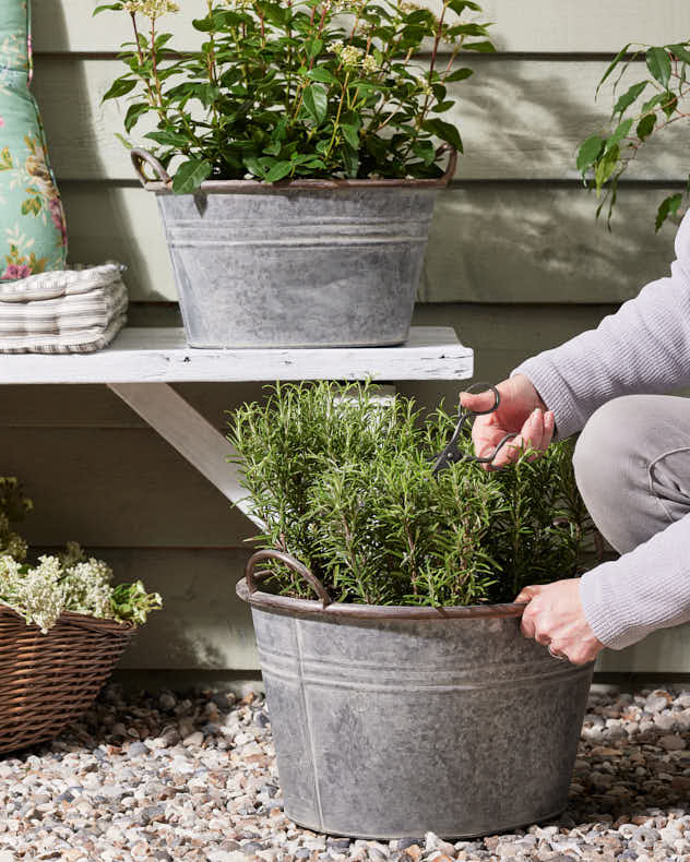 Galvanised Tub Planter