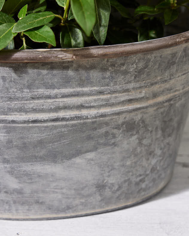Galvanised Tub Planter