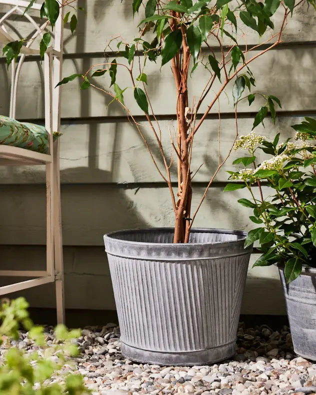 Pots & Planters - Ribbed Metal Planter Bucket