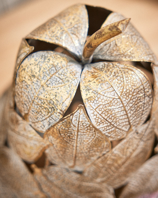 Grande poire botanique dorée